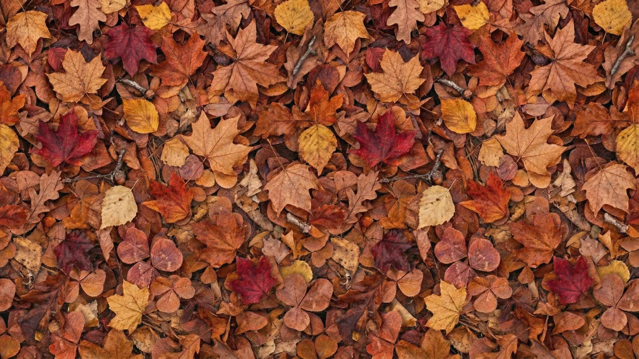 秋の落ち葉テクスチャ（クローバー混じり） デスクトップPC壁紙、背景画像
