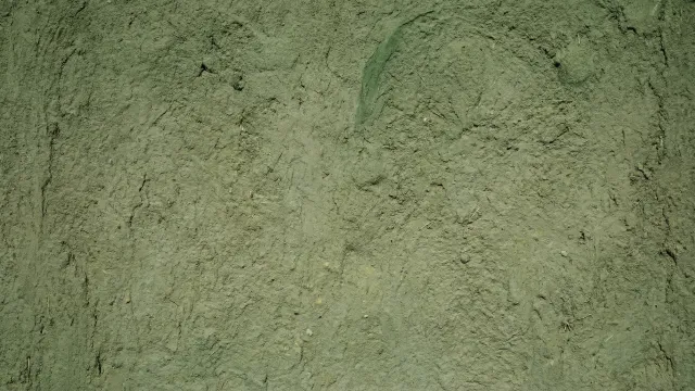 土壁テクスチャ（オリーブグリーン）