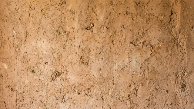 土壁テクスチャ（無地・ナチュラル） 2