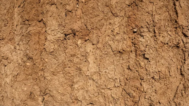 土壁テクスチャ（無地・ナチュラル） 4