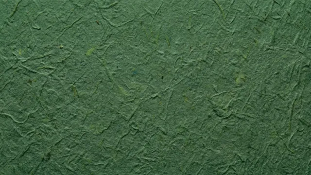 和紙テクスチャ（無地・フォレストグリーン）