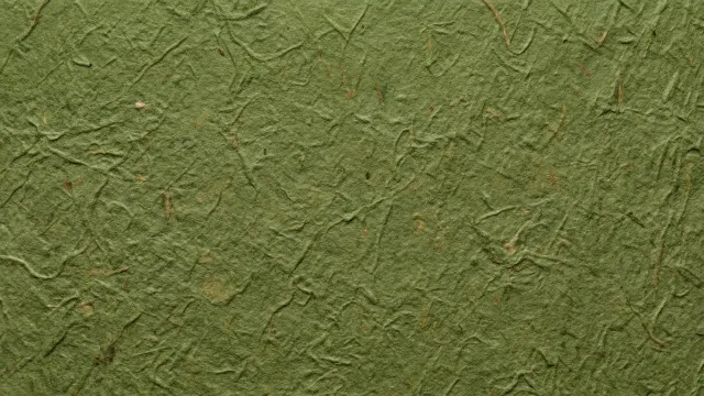 和紙テクスチャ（無地・オリーブグリーン）