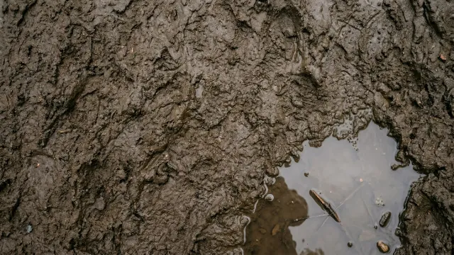 泥地に広がる水たまり（右下）