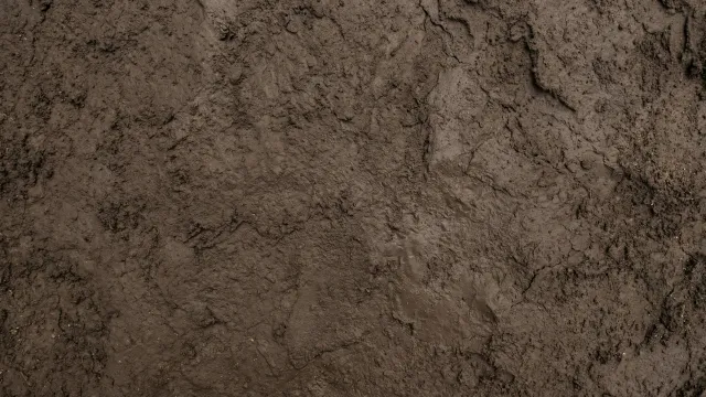 泥（ぬかるみ）テクスチャ（無地・トップダウン） 3