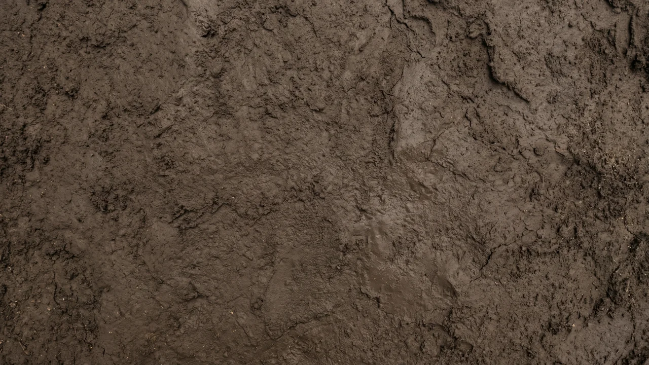泥（ぬかるみ）テクスチャ（無地・トップダウン） 3 デスクトップPC壁紙、背景画像