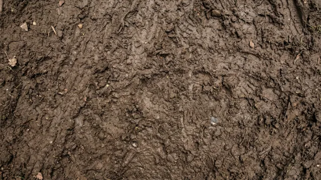 泥（ぬかるみ）テクスチャ（無地・トップダウン） 4