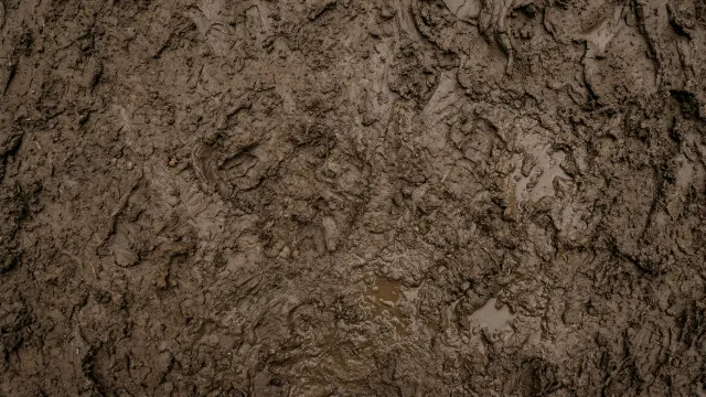 泥（ぬかるみ）テクスチャ（無地・トップダウン）