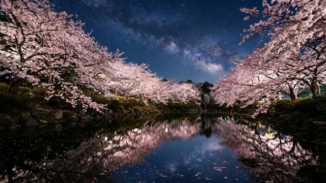 夜桜と天の川が池に映る幻想的な夜景