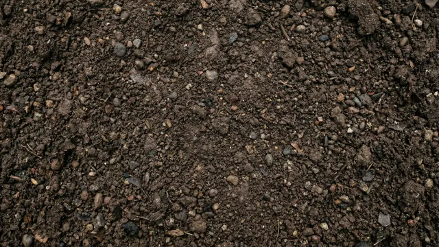 土（地面）テクスチャ（無地・トップダウン） 2