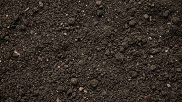 土（地面）テクスチャ（無地・トップダウン）