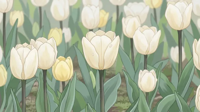 白・黄チューリップ畑 アニメイラスト