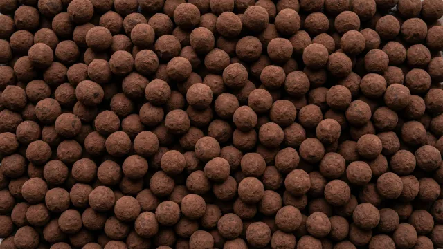 チョコレートトリュフ トップダウン（カカオパウダー）